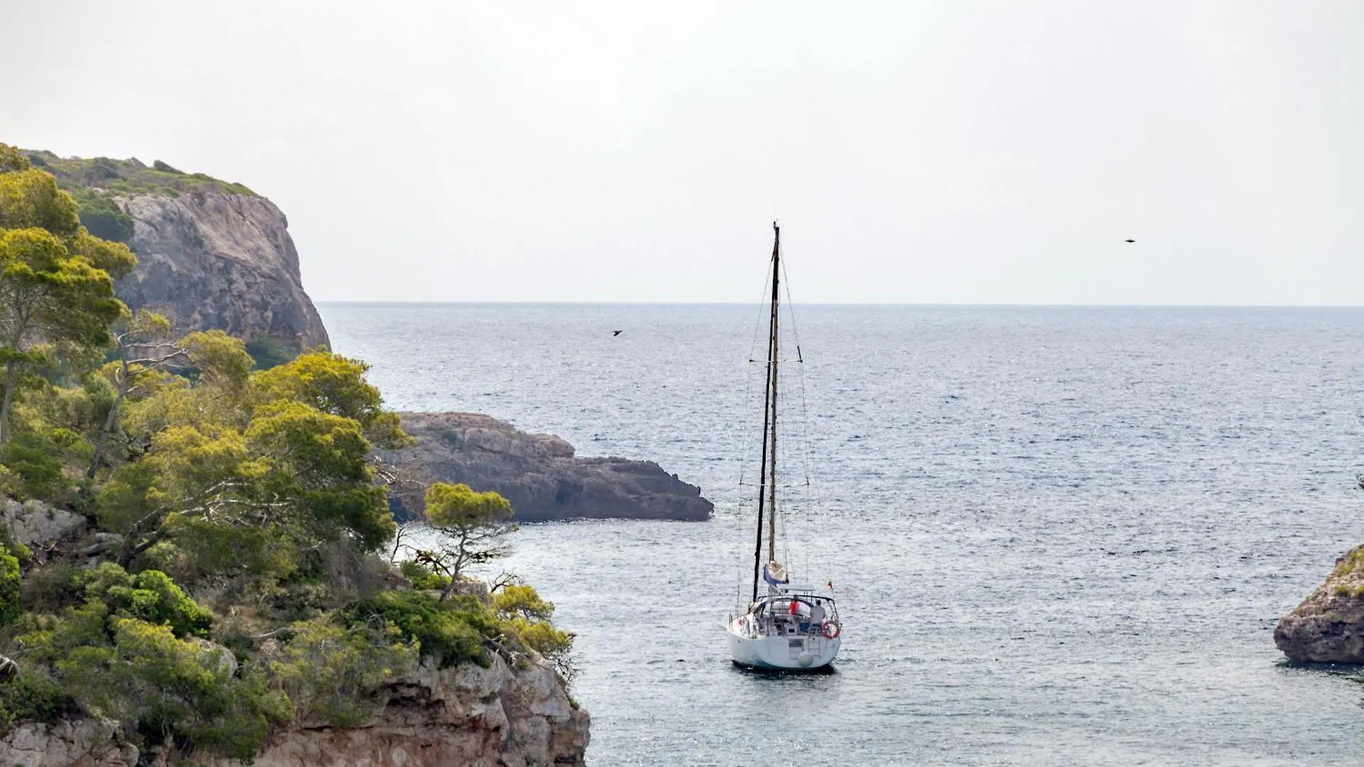 Harbour View 2 Apartment Cala Figuera   Cala Figuera (Mallorca)